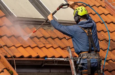 Démoussage et hydrofuge de toiture à Javie